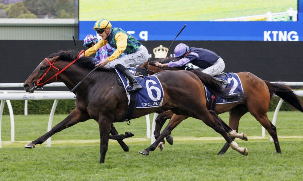 球场周边建 球场周边建