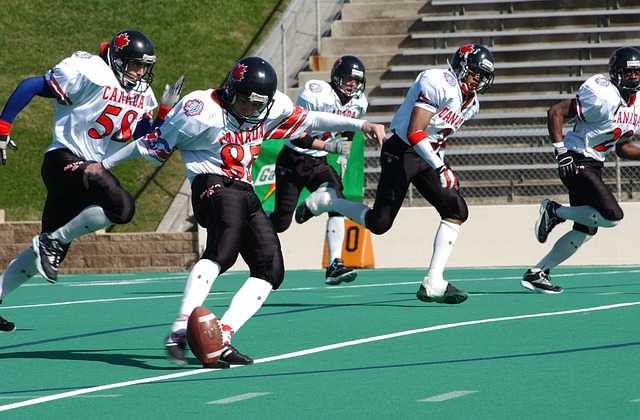 备了一系列 备了一系列