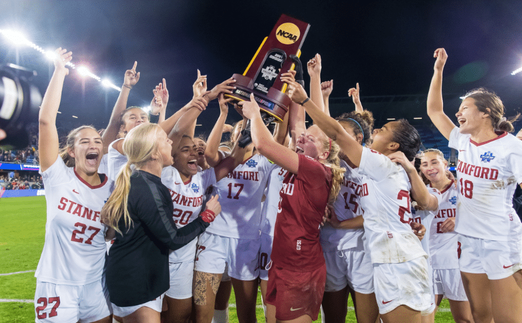 们在杯赛中 们在杯赛中