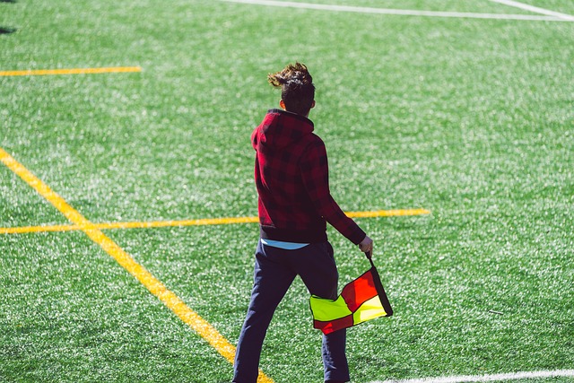 凭借此机会 凭借此机会